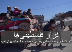 غزه