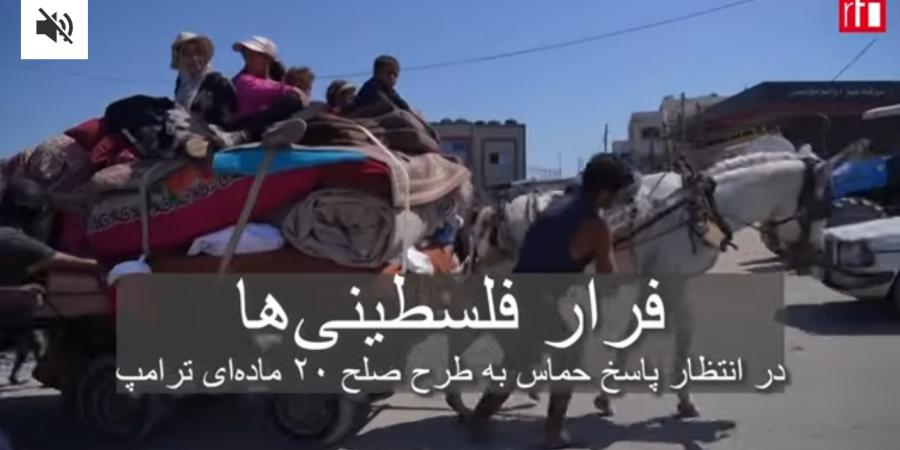 غزه