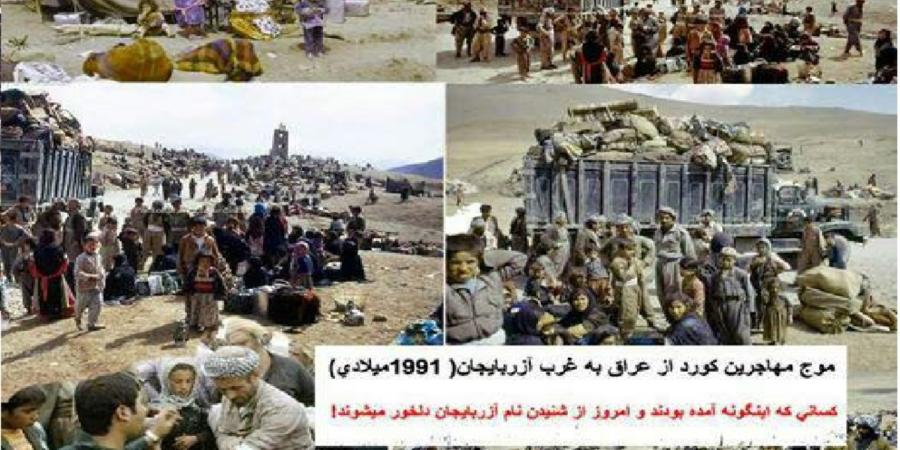 مهاجرت 