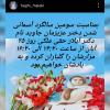آیلار حقی